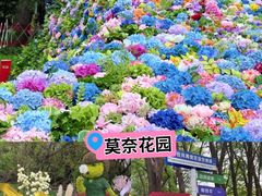 -上海共青森林公园