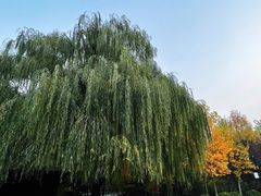 -北极寺公园