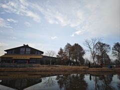 -宁波杭州湾国家湿地公园