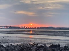 -宝安西湾红树林湿地公园