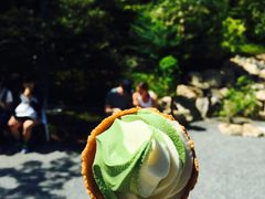 -豆政(金閣寺境内売店)