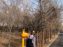 -北京鹿世界主题园