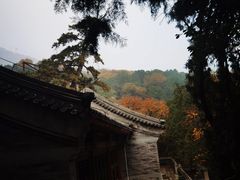 -香山公园