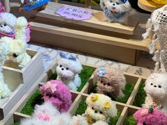 -盛京大奥莱(沈阳奥体店)