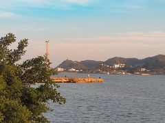 -西堤公园