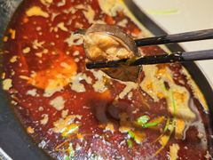 红汤梭边鱼锅-新辣道鱼火锅(上地华联店)