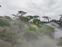 -罗红摄影艺术馆