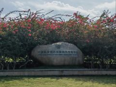 -中国科学院西双版纳热带植物园