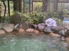 -张家港金凤凰度假村温泉