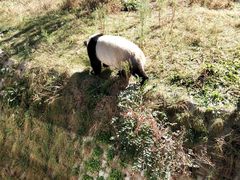 -沈阳森林动物园