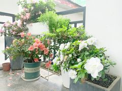 -边渡咖啡烘焙店(昙华林店)