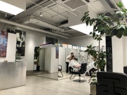 -Hair  Gallery