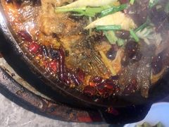 -老板恋上鱼(恒隆广场店)