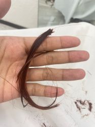 -AD HAIR 