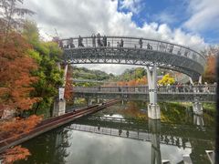 -福道