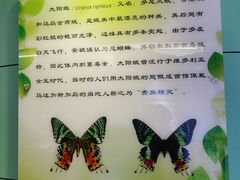 -上海昆虫博物馆