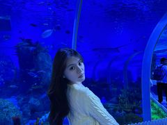 -石家庄海洋公园