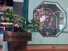 -老板恋上鱼(振华商厦店)