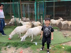 -上海海湾国家森林公园