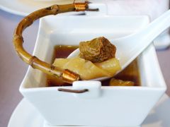 姬松茸野竹笙花胶汤-子福慧(虹桥店)