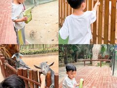 -呀路古热带植物园