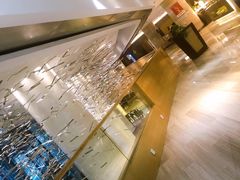 -石家庄万象天成假日酒店