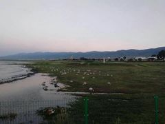 -青海湖国家重点风景名胜区