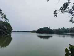 -海珠湖公园