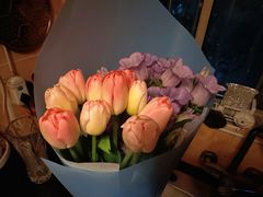 -双季花艺园艺市场(浦东店)