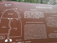 -大岭沟猕猴桃谷风景区