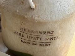 -三亚太阳湾柏悦酒店