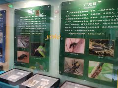-上海昆虫博物馆