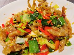鸭掌筋-壹盏灯(惠农店)