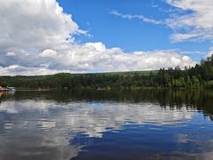 -五营红松林海景区