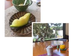 -九献创意菜·牛排馆(亮马河花园店)