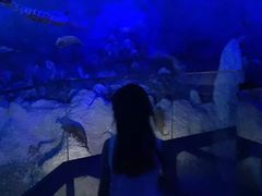 -中国西峡恐龙遗迹园