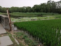 -北坞公园