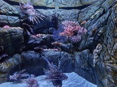 -成都浩海立方海洋公园