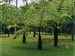-中国科学院西双版纳热带植物园