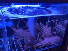 -家贺屋刺身寿司专门店