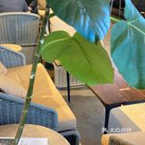 这家小酒馆藏在王府井五楼在拾翠市集内 在我心里他家有