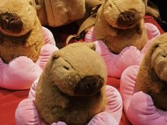 -酷乐潮玩(五道口购物中心店)