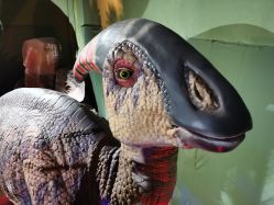 -恐龙探索乐园(磁器口店)