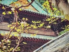 -报恩寺(平武县)