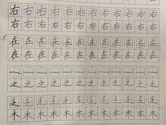 -缤纷鸟美术书法(建大校区)