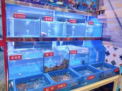 大堂-小龍鳳·港式海鲜打边炉(沙湖路店)