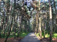 -帽儿山国家森林公园