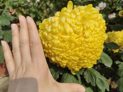 -乐山大佛风景名胜区乌尤寺南门-售票点