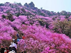 -牛角寨瀑布景区