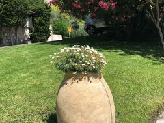 -熊猫川菜馆 panda chine